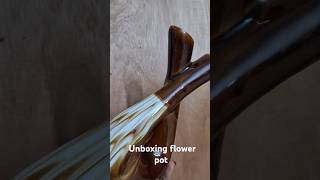 Unboxing flowerpot [upl. by Aneertak919]