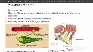 L12 Physio Tissue fluid formation and edema Cardio 43 🌸 [upl. by Dearborn689]