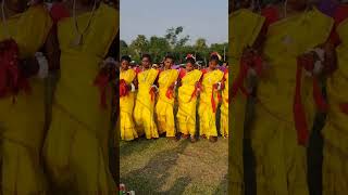 Lagre Anech Dong Video Song  Pakur Borio  Jiwan Kuri Simaljuri Lagre Anech Video shorts [upl. by Ekusuy]