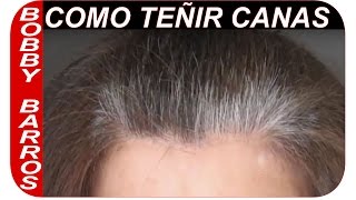 Como pintar las canas  Como teñir un cabello con canas [upl. by Magda]