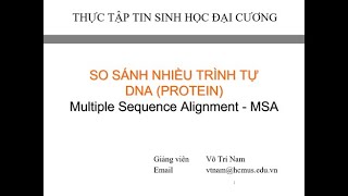 So sánh nhiều trình tự sinh học  ClustalX  BioEdit P3 [upl. by Eelano802]