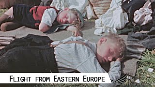 Flight and Expulsion of Germans from Czechoslovakia 1945 [upl. by Inamik]