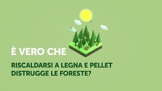 Riscaldandoti a legna e pellet distruggi le foreste o no Facciamo chiarezza [upl. by Geiger829]