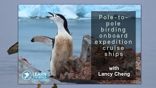 Poletopole birding onboard expedition cruise ships [upl. by Lawler45]