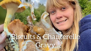 Biscuits amp Wild Chanterelle Mushroom Gravy  Wild Foraged Healthy Vegan Recipe [upl. by Kemeny]