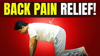 Daily Exercise for BACK PAIN  15Min Workout at home  Saurabh Bothra [upl. by Pavlov]