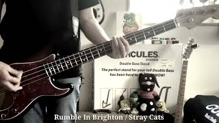 Rumble In Brighton  Stray Cats  Bass Cover 127 [upl. by Atiuqehs]