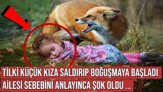 Kurtardıkları Tilki Kızlarına Öyle Bir Şey Yaptı ki Sebebini Anlayınca Şok Oldular [upl. by Knipe]