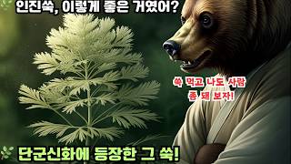 🌿 인진쑥 이렇게 좋은 거였어 몰랐던 효능과 활용법Artemisia Capillaris This Good For You Amazing Benefits and Uses [upl. by Enilaf]