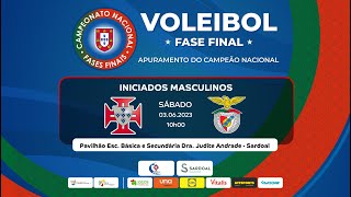 ALA NUN ÁLVARES DE GONDOMAR x SL BENFICA  FASE FINAL INICIADOS MASCULINOS 2023 [upl. by Wyly55]