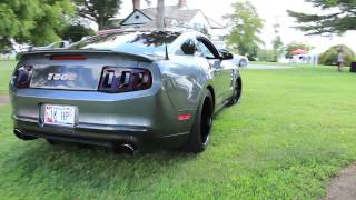 Shelby 1000 Start up and Idle Pure Sound [upl. by Ferri]