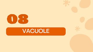 STPM BIOLOGY SEM 1 CHAPTER 2  ORGANELLES  VACUOLE  STRUCTURE amp FUNCTION  PLANT VACUOLE [upl. by Nickolaus]