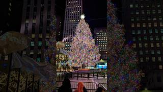 Christmas in New York xmas nyc christmas rockefeller radiocity newyork shorts centralpark [upl. by Jarvis]