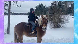 Riding 2 Of My DRAFT HORSES [upl. by Atiram]