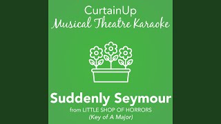 Suddenly Seymour from Little Shop of Horrors Karaoke Instrumental [upl. by Paryavi]