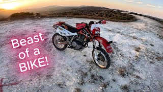 Honda XR600 R  Sunset blast on the Beast [upl. by Anidal]