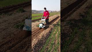 4 stroke mini tiller make ditching in the fields [upl. by Llerahc707]