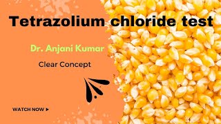 Tetrazolium chloride test [upl. by Ahsimed]