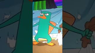 A platypus Perry the platypus [upl. by Notsua]