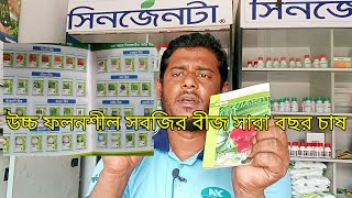 উচ্চ ফলনশীল সবজির বীজ সারাবছর চাষ I Syngenta krishi Tv [upl. by Mikael]