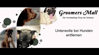 Unterwolle bei Hunden entfernen [upl. by Latham]