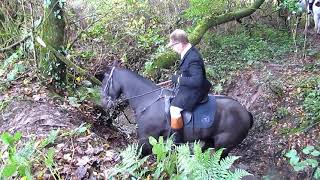 Suir Vale Harriers Hunt Drombane October 31st 2021 [upl. by Paule]