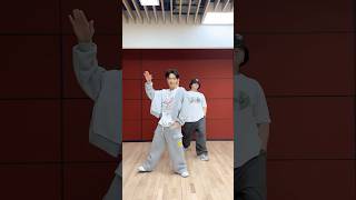 Seventeen Dino and Changbin  LALALALA Challenge [upl. by Idram102]