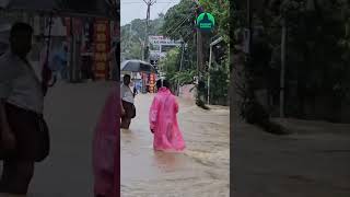 Waterlogged roads in Palakkad following heavy rains on July 30 [upl. by Romina]