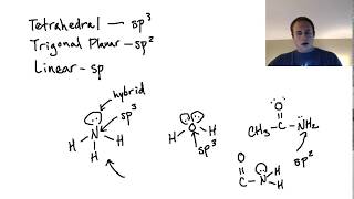 Are Lone Pairs in Hybrid Orbitals sp2 confusion [upl. by Cirdahc]