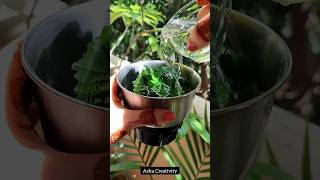 🔥Hibiscus Hair Growth Mask  shorts haircare longhair hairfall hairgrowth viral trending diy [upl. by Heidie]