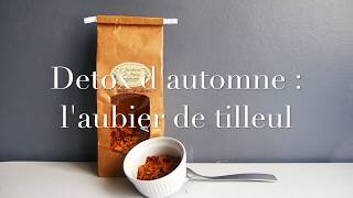 Comment faire une detox à laubier de tilleul  Ma cure automnale [upl. by Antonin]