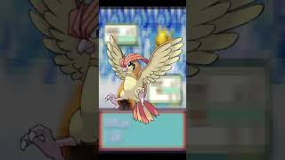 1 Fact About Pidgeotto shorts whatif pokemon anipoke ashandpikachu pokemonwhatif anime [upl. by Ishmael245]