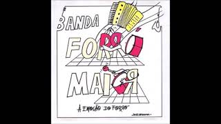 CD Banda Forró Maior A Emoção do Forró  Vol 1 1993 [upl. by Xavier7]