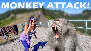 We Get Attacked By Monkeys  Mount Kelimutu  S2E86 [upl. by Sivad]