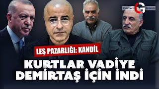 KURTLAR VADİYE DEMİRTAŞ İÇİN İNDİ LEŞ PAZARLIĞI KANDİL [upl. by Hcirteid]