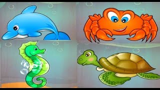 Baby Learn About Sea Animals  Animal Puzzles amp Real Video Of The Animals  Educational Games [upl. by Steffen]