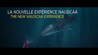 Visitez le plus grand aquarium d’Europe Nausicaá [upl. by Aehtla]