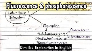 Fluorescence And Phosphorescence Basic Principles  ImpFor All Semester Exams bscnotes mscnotes [upl. by Laux430]