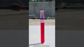 Science experiments Acid base indicator chemistry science viralvideo physics trending [upl. by Nosidda]