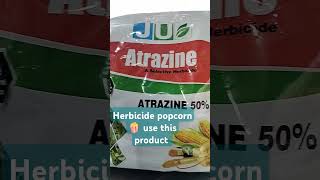 Herbicide popcorn 🍿 For Agriculture use only Popcorn seeds [upl. by Sura]