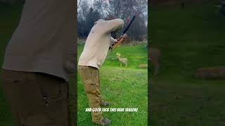 Stickbow setup53DamonHowatt Hi Speed black eagle shafts MagnusBroadheads stickbow [upl. by Rednav]