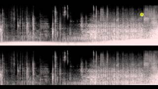 Minecraft music disc 11 Spectrogram [upl. by Vic]