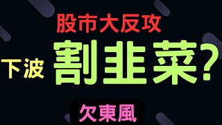 股市大反攻，下波割韭菜 欠東風  菱光鴻海喬福台積電 金融股中信金三大法人通膨台幣美元存股股票配息 091224【宏爺講股】 [upl. by Teodora]