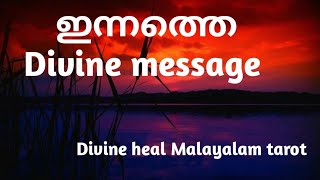 ഇന്നത്തെ ഡിവൈൻ മെസ്സേജ് ❤️🌹✨🌞🪷Divineheal Malayalam Tarotreading 🌞✨💕🌹 [upl. by Naehgem699]