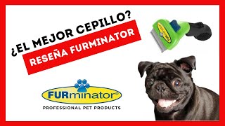 🥇💖Cepillo Furminator 🐶¿El Mejor Cepillo😍 Furminator Review en ESPAÑOL 😍 [upl. by Ynatsed]