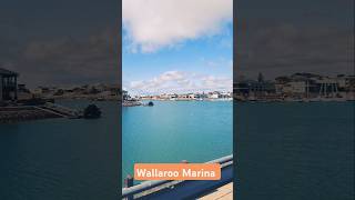 Alehouse australia wallaroo drinks southaustralia australia travel couple marina experience [upl. by Ennirroc]