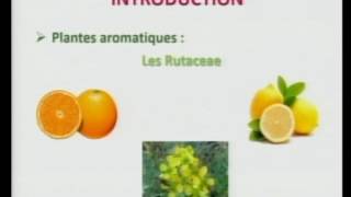 Huiles essentielles en aromathérapie  mythe ou réalité  par Mélanie Poivre UMONS [upl. by Fulvi]