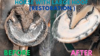 Shire Horse Complete restoration Shire Horse Restoration Compilation shirehorse huge massivehoof [upl. by Anitsyrhc144]