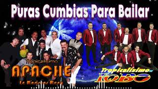 TROPICALISIMO APACHE  TROPICALISIMO LOBO EXITOS  CUMBIAS PARA BAILAR TODA LA NOCHE [upl. by Kcirrem]