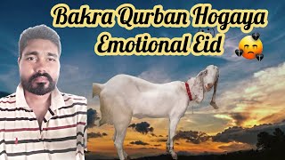 Emotional Eid Ul Azha Mubarak 💔  Bakra Allah Kay pas Chala gaya [upl. by Salchunas698]